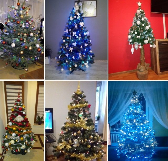 Mieszkańcy Przemyśla chętnie odpowiedzieli na nasz apel w mediach społecznościowych i przysłali swoje bożonarodzeniowe choinki. Zobaczcie pięknie przyozdobione drzewka.

A jak wygląda Twoja choinka? Czekamy na zdjęcia: online@nowiny24.pl