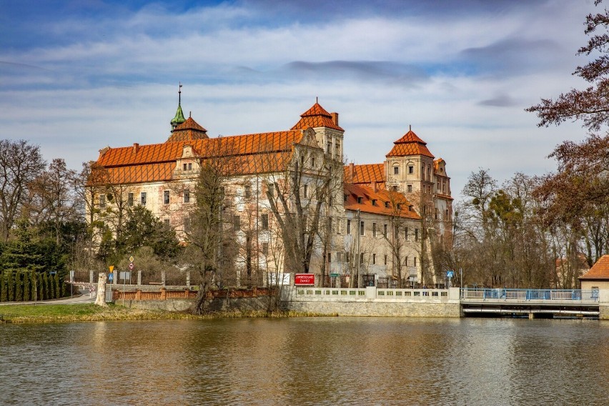 I Etnofestiwal odbędzie się na zamku w Niemodlnie.