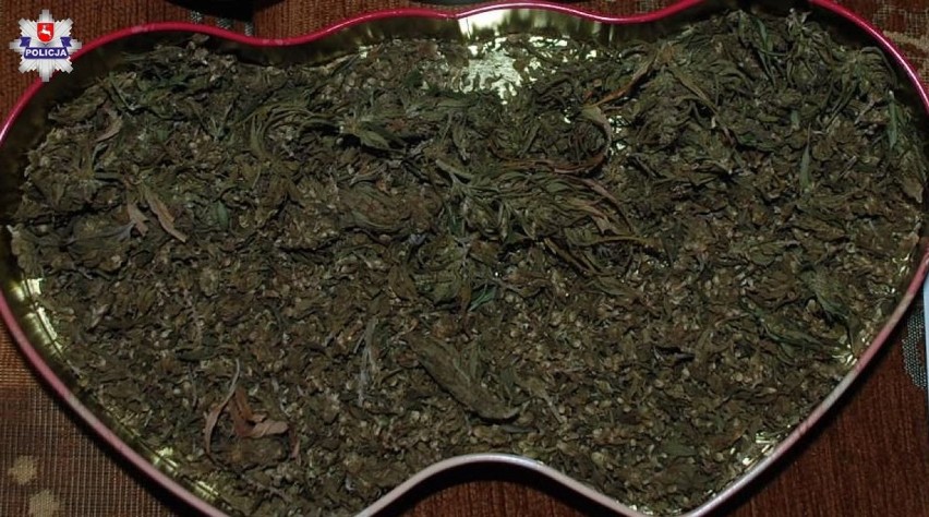 Gmina Borki: Uprawiał marihuanę w ogrodzie warzywnym. Policja znalazła u niego ponad kilogram narkotyku
