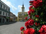 Kto powinien zostać burmistrzem Skoczowa? [GŁOSOWANIE]