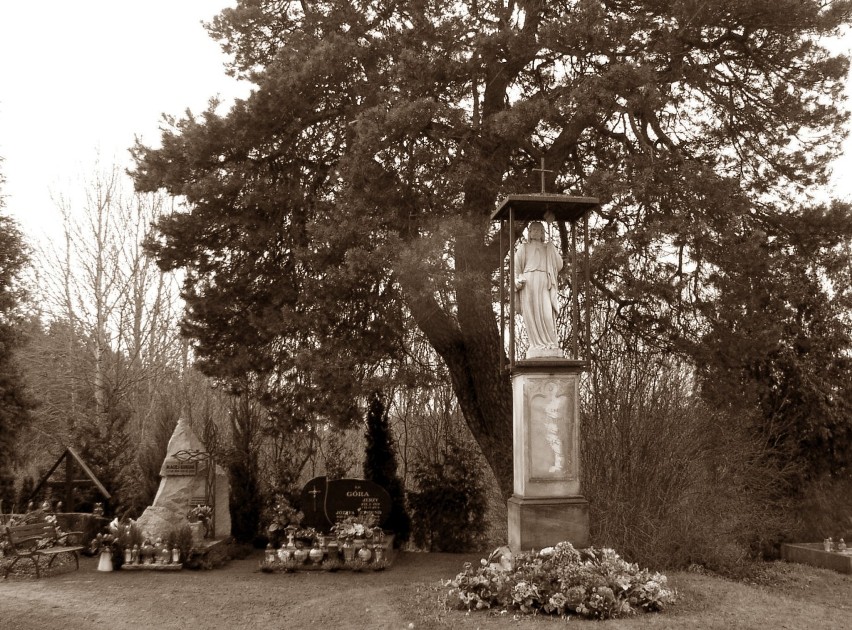 Figura św. Jakuba na ostroroskim cmentarzu w miejscu dawnego...