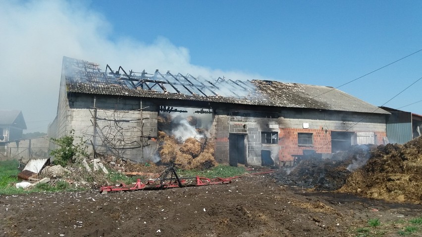 Pożar w Zbiersku. Płonął budynek na terenie jednego z gospodarstw. ZDJĘCIA