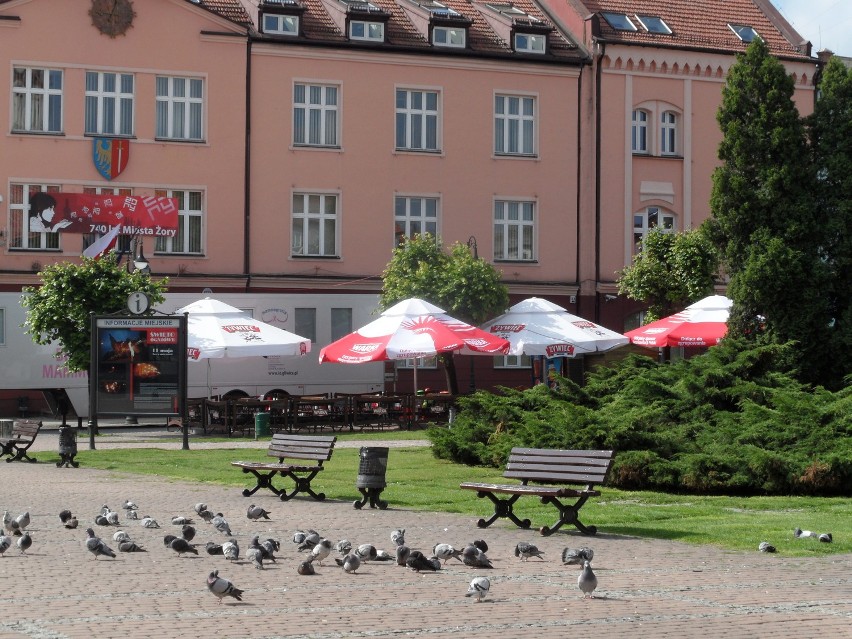 Swoje też kosztują podróże po Polsce i zagraniczne wojaże...