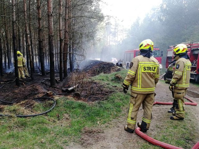 W akcji gaszenia pożaru uczestniczyły OSP Złocieniec, OSP Nowe Worowo oraz PSP Drawsko Pomorskie.