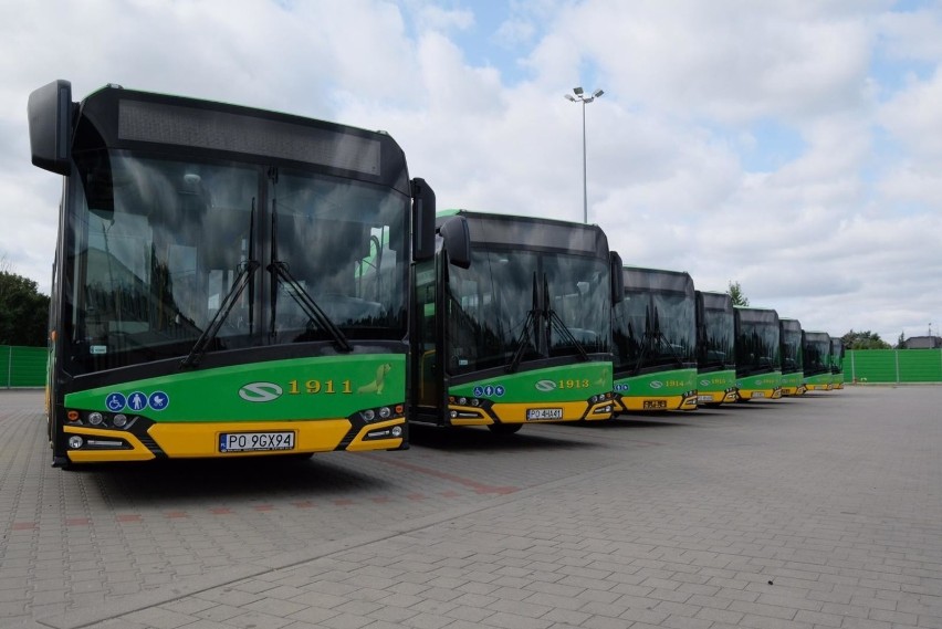 MPK Poznań: Hindusi „za kółkiem” autobusów. Już wożą...