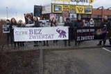 Protestowali przeciw wykorzystywaniu zwierząt w pokazach cyrkowych [FOTO, FILM]