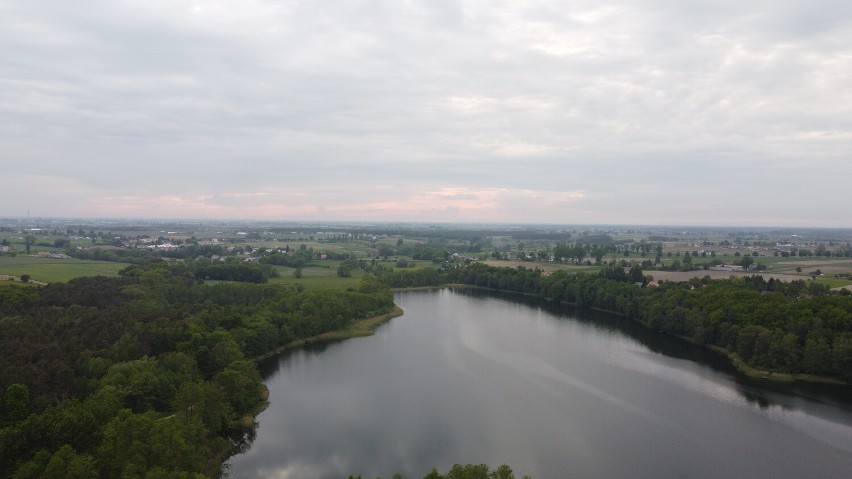 Jankowo Dolne. Piękne Jezioro Jankowskie na zdjęciach z lotu ptaka [FOTO]