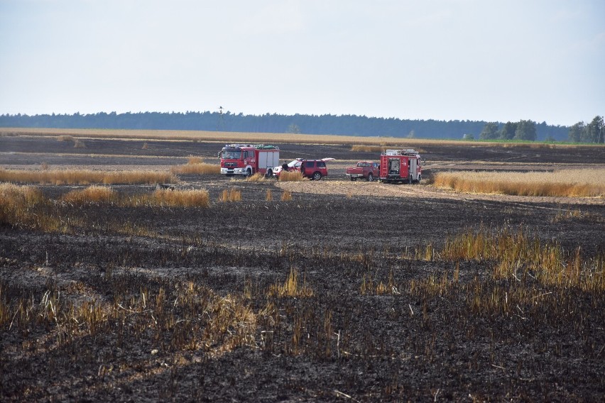 Pożar zboża na polu w Sulinowie, gmina Żnin.