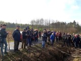 Las Europejski: wielkie sadzenie 2017 buków w Grodźcu [FOTO]