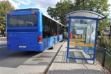 List otwarty do premiera. Radny Mrówczyński walczy o dodatkowe połączenia autobusowe