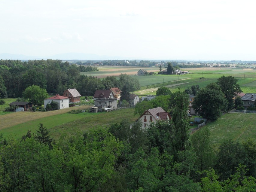 Żory widziane z lotu ptaka na placu piknikowym w Roju. Widoki są nieziemskie!