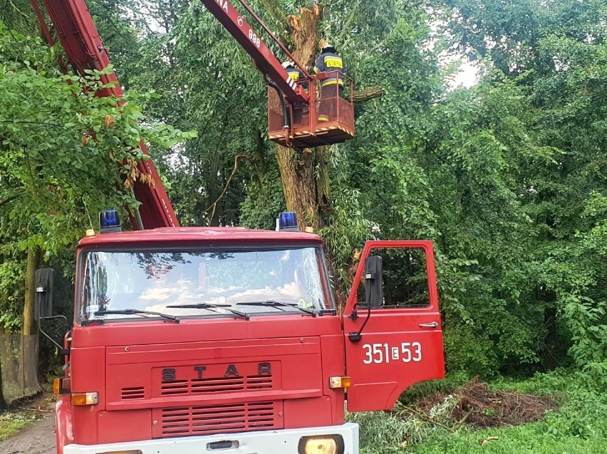 Nawałnica w Bolimowie - połamane drzewa i zerwane linie...
