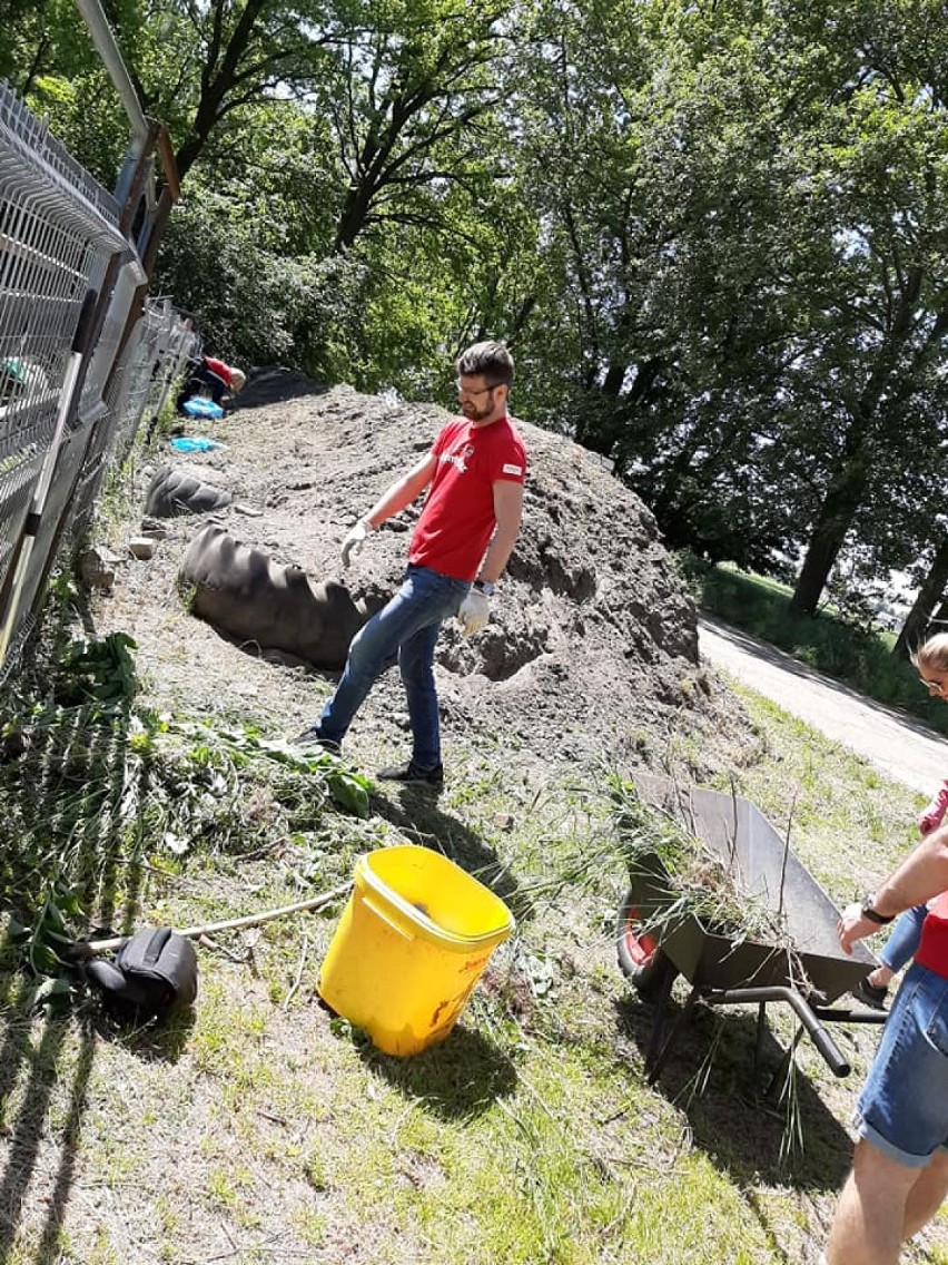 Pracownicy Santandera wsparli Przytul Pyska    