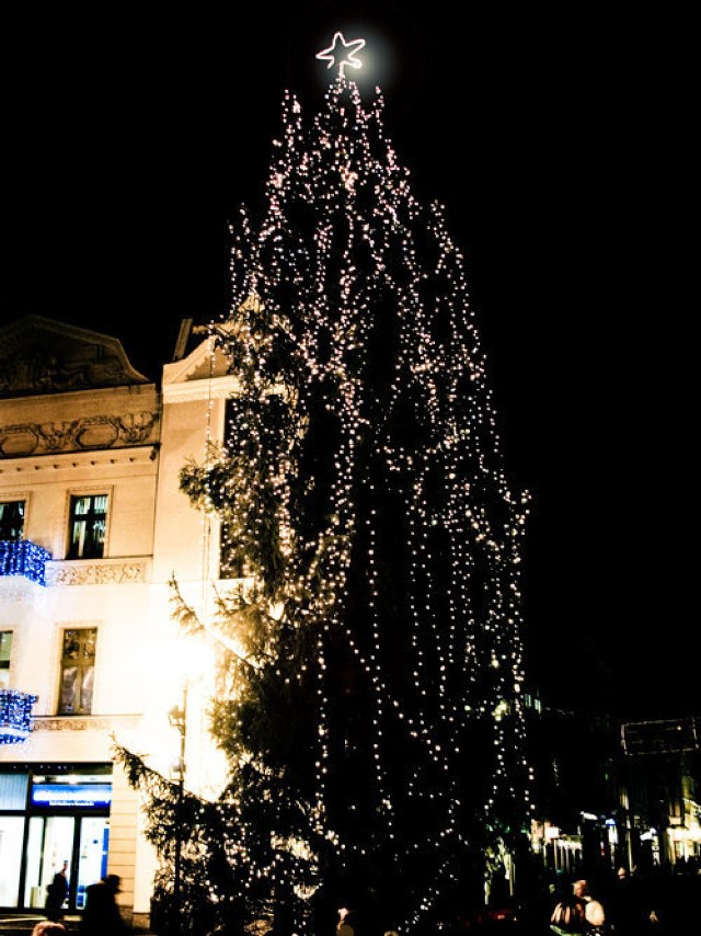 Choinka na Starym Rynku w Toruniu.