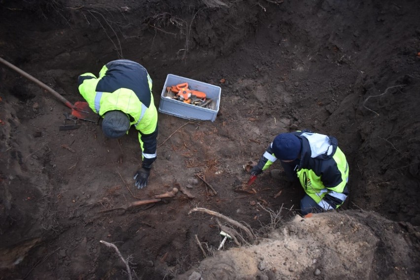 Zbiorowa mogiła w parku Michalskiego. Archeolodzy odnaleźli ludzkie szczątki
