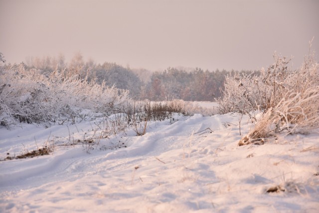 Tak wygląda zima w gminach Rogowo i Janowiec Wielkopolski.