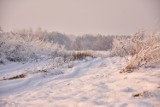 Zima pokazała swoje piękne oblicze. Na drzewach szadź, ale na drogach nie zawsze jest bezpiecznie [zdjęcia]