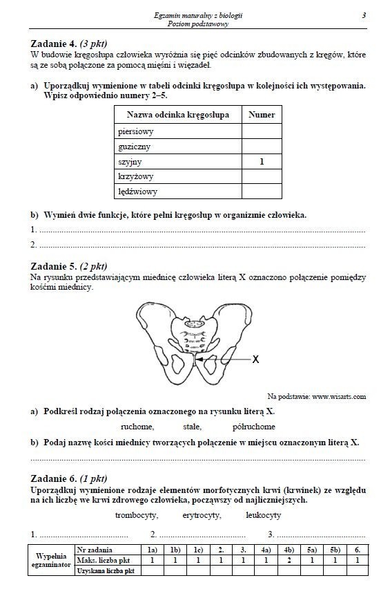 MATURA 2013 biologia: ODPOWIEDZI, mamy ARKUSZE [poziom podstawowy]