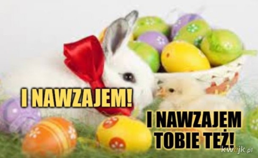 Tak internauci żartują z Wielkanocy. Te memy rozbawią Was do...