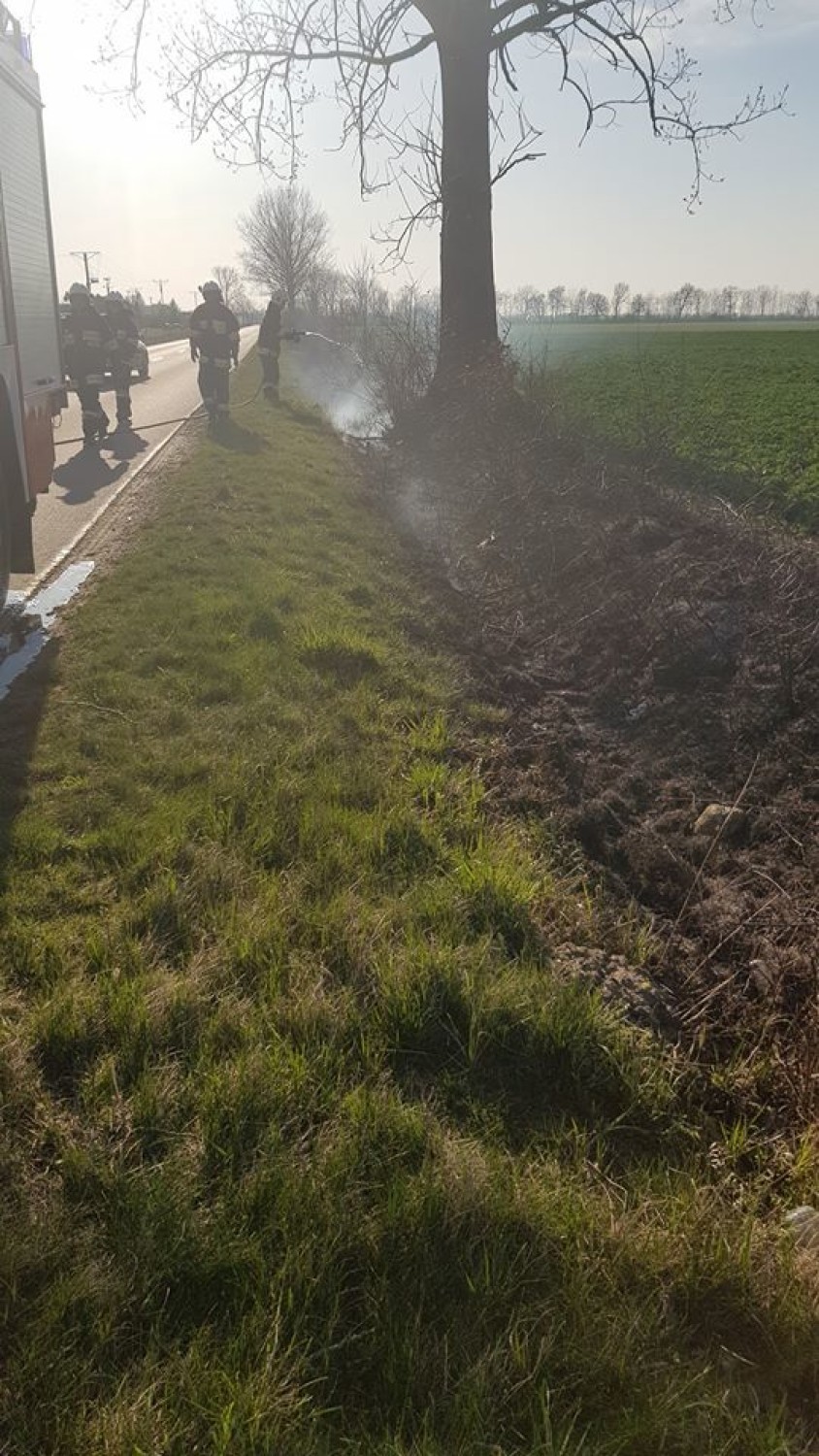 Do pożaru trawy doszło przy drodze powiatowej między Dobrzycą a Fabianowem