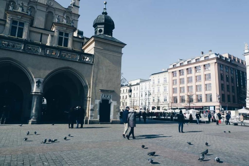 To, że Kraków jest miastem opanowanym przez gołębie wiedzą...