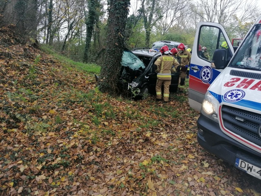 Groźny wypadek pod Wrocławiem. Kierowca z impetem uderzył w drzewo (ZDJĘCIA) 