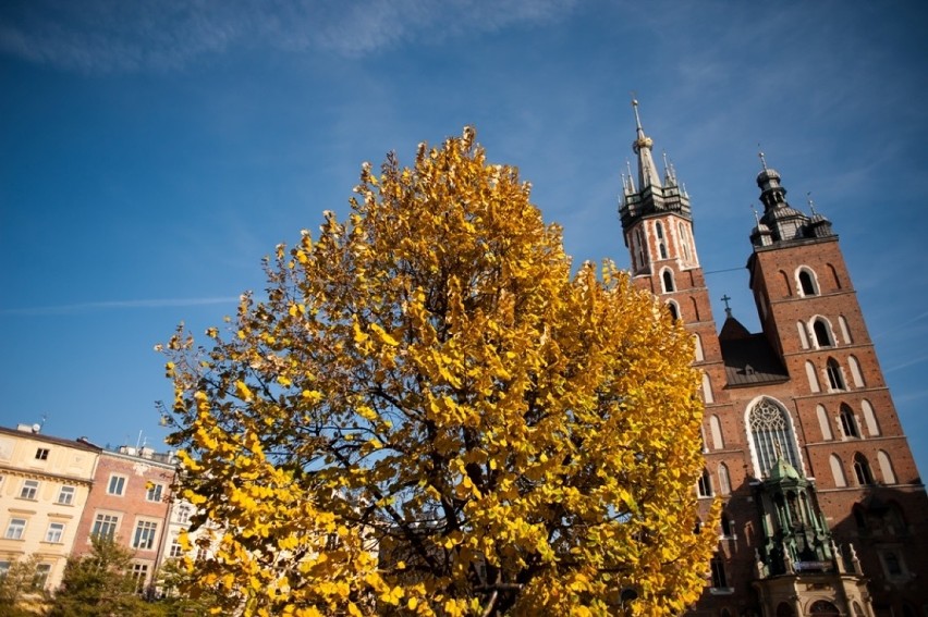 Barwy jesieni w Krakowie [ZDJĘCIA]