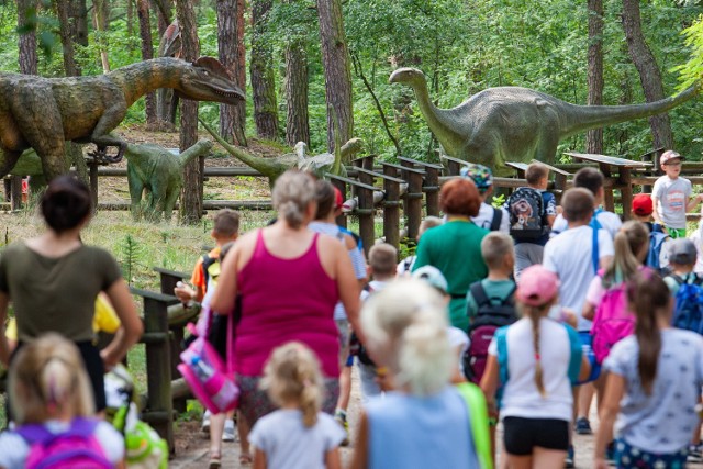 Dotychczas Solec kojarzył się z wielkimi dinozaurami, a nie wielkimi magazynami