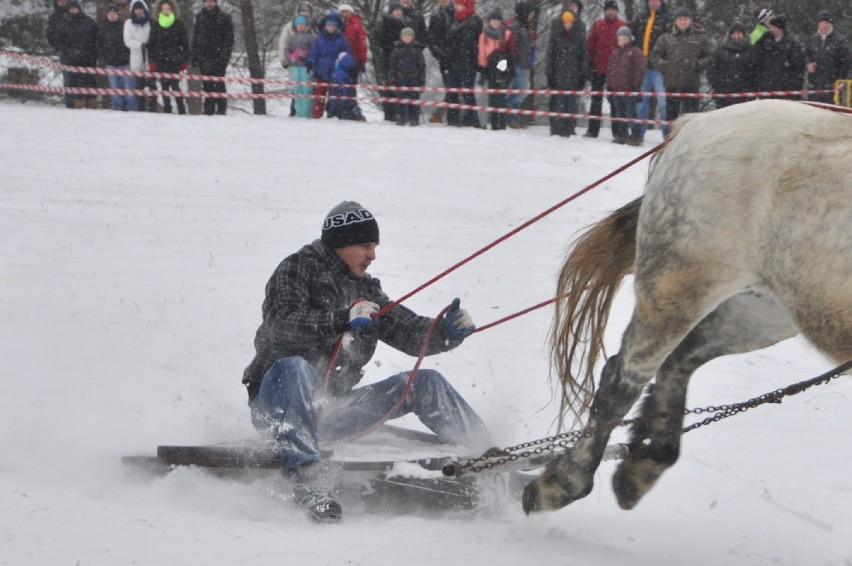 Kaszebsko Szlópa 2014, czyli Mistrzostwa Kaszub w Powożeniu...