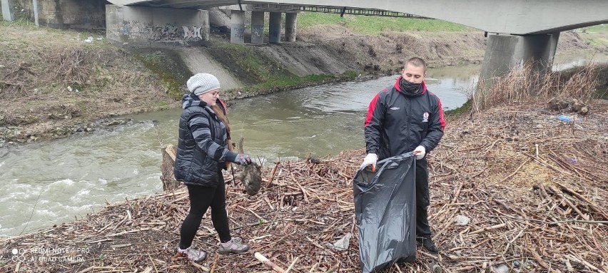 Stowarzyszenie Regia Civitas posprzątało osiedle Za Wiarem i Lwowskie [ZDJĘCIA]