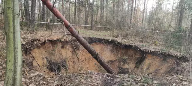 Nowe zapadlisko w Trzebini. Wielki lej pojawił się w lesie