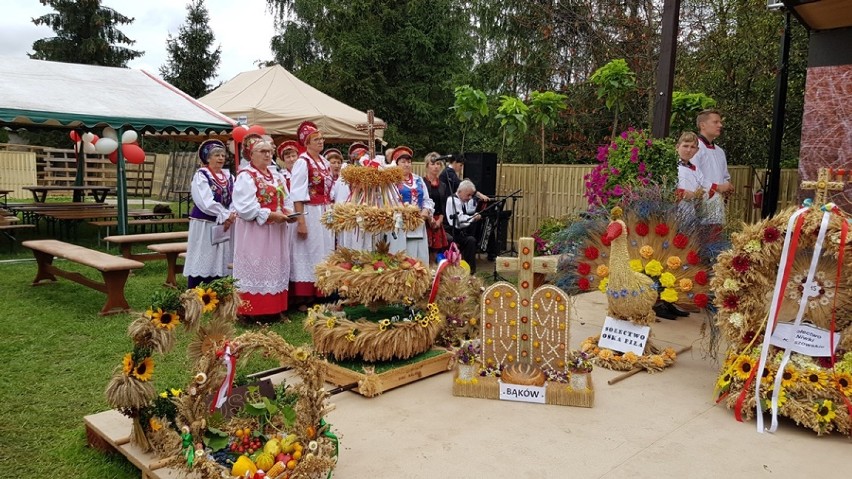 Dożynki parafialno-gminne połączone z odpustem w parafii Matki Boskiej Częstochowskiej w Bukowinie Sycowskiej (GALERIA)