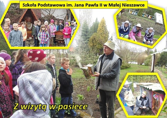 Ruszają kolejne Akademie Przyjaciół Pszczół w placówkach edukacyjnych z Kujaw i Pomorza