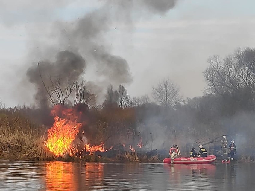 Strażacy walczą z pożarem na terenie Rezerwatu Przyrody Jeziorsko[FOTO]