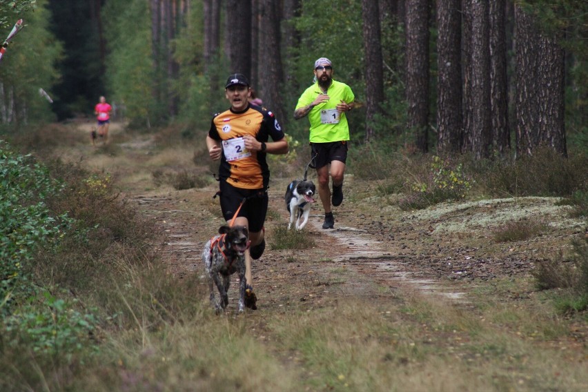 Wronki. Dogtrekking z Animaniakami - miłośnicy zwierząt pobiegli ze swoimi psiakami!