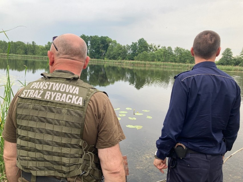 Kłusownicy na celowniku policji i Straży Rybackiej. Ruszyły...