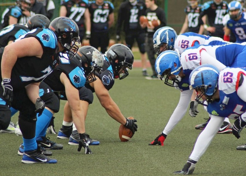 Kozły Poznań przegrały z Panthers Wrocław