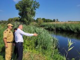 Rzeka Ner już nie jest zagrożona. „Parametry wody w rzece są stabilne”