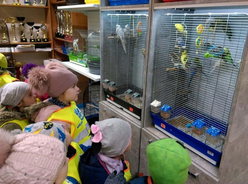 Wolsztyn: "Niedźwiadki" z Przedszkola nr 3 były w sklepie zoologicznym