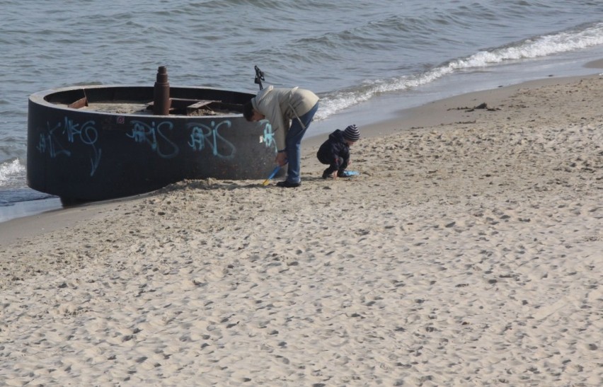 Gdynia sprząta plaże. GOSiR mobilizuje siły przed sezonem