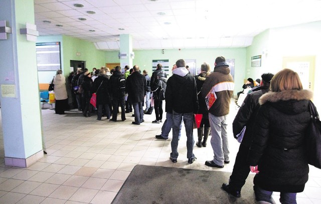 Powiatowy Urząd Pracy w Łodzi dysponuje obecnie ok. 500 ofertami zatrudnienia dla bezrobotnych.