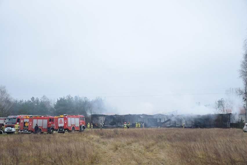 Pożar tartaku w Grodźcu. Z ogniem walczyły 24 zastępy straży pożarnej. Spaliła się cała hala [FOTO]