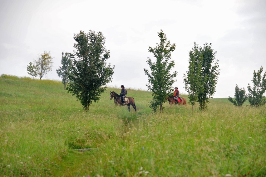 Pony Express przejechał przez Wielkopolskę