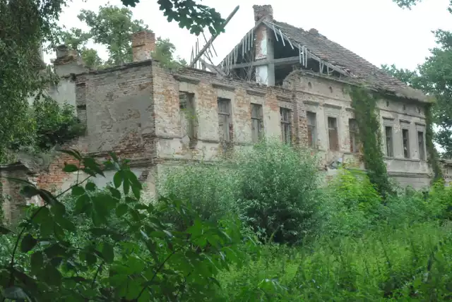 Pałac w Osieku - tu bywał Adam Mickiewicz, tu rodziły się pomysły wątków "Pana Tadeusza". Dziś pałac w Osieku to ruina