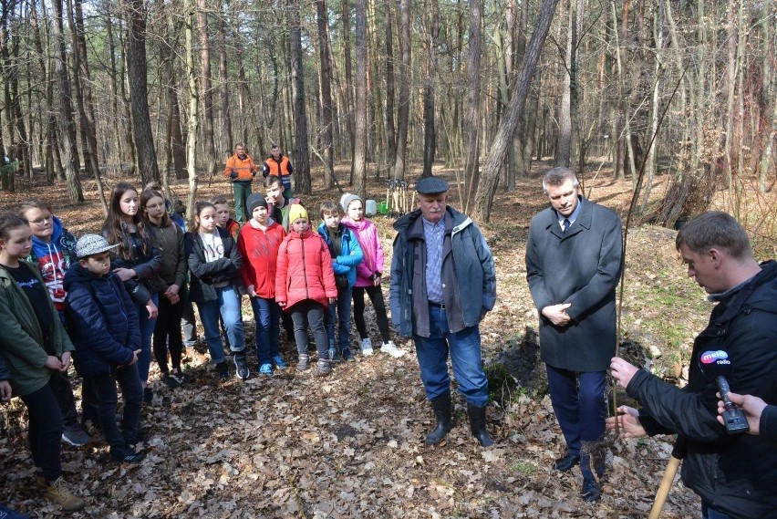 Prezydent Kielc Bogdan Wenta wspólnie z uczniami sadził drzewa - dęby i platany (WIDEO, ZDJĘCIA)