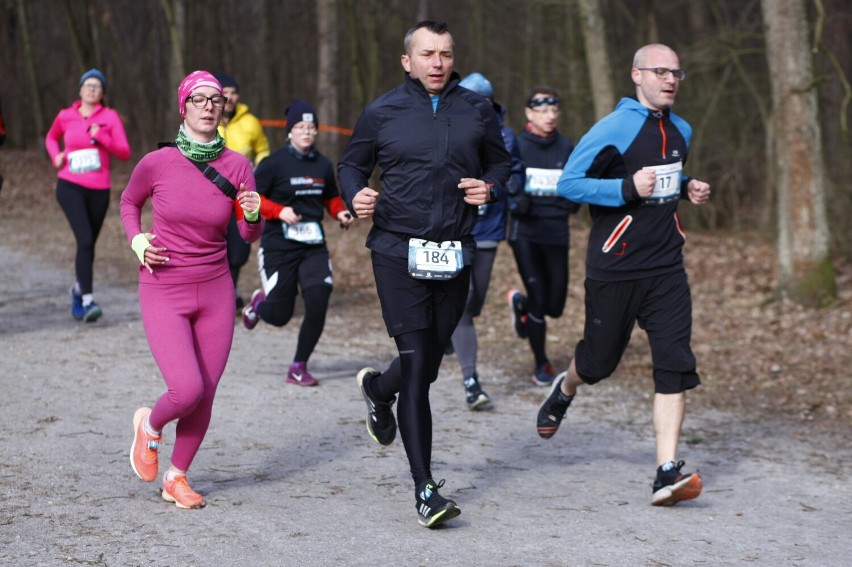 City Trail z Nationale-Nederlanden w Warszawie