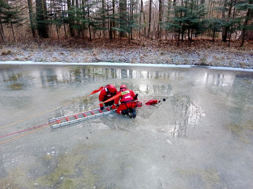 Strażacy z Bystrzycy Kłodzkiej trenowali ratownictwo lodowe 