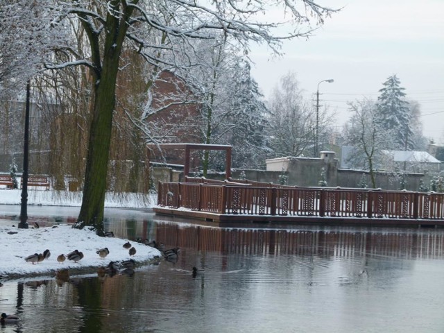 Park Miejski w Zduńskiej Woli w zimowej, śnieżnej odsłonie