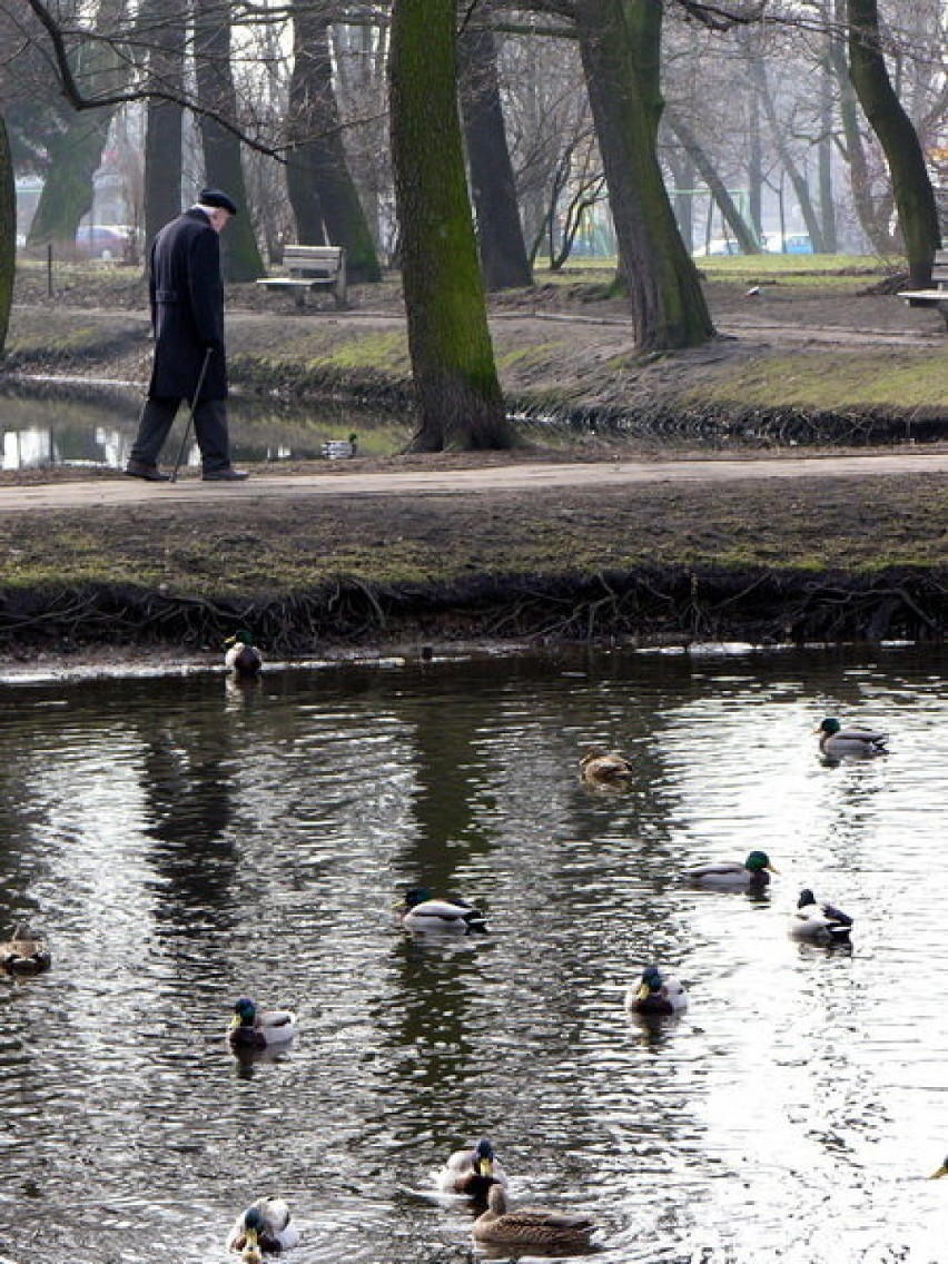 Lata mijają wraz z porami roku. / Fot. Patrycja Cychner