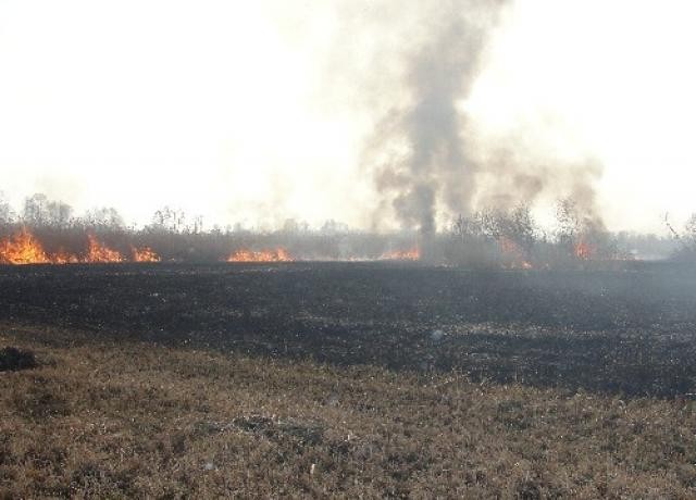 67 pożarów traw w pow. staszowskim [zdjęcia]
